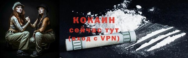 ешки Пересвет